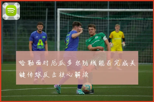 哈勒面对厄瓜多尔防线能否完成关键传球反击核心解读