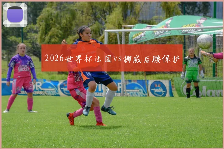 2026世界杯法国vs挪威后腰保护