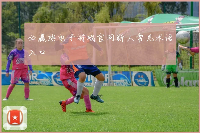 必赢棋电子游戏官网新人常见术语入口